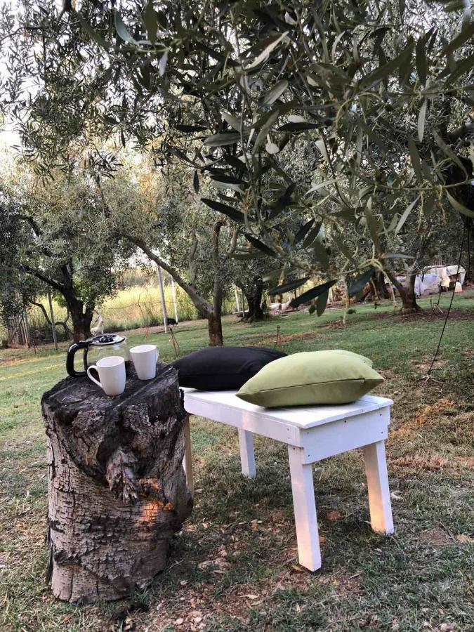 איוס מאמס Green Olive Studios 2 מראה חיצוני תמונה