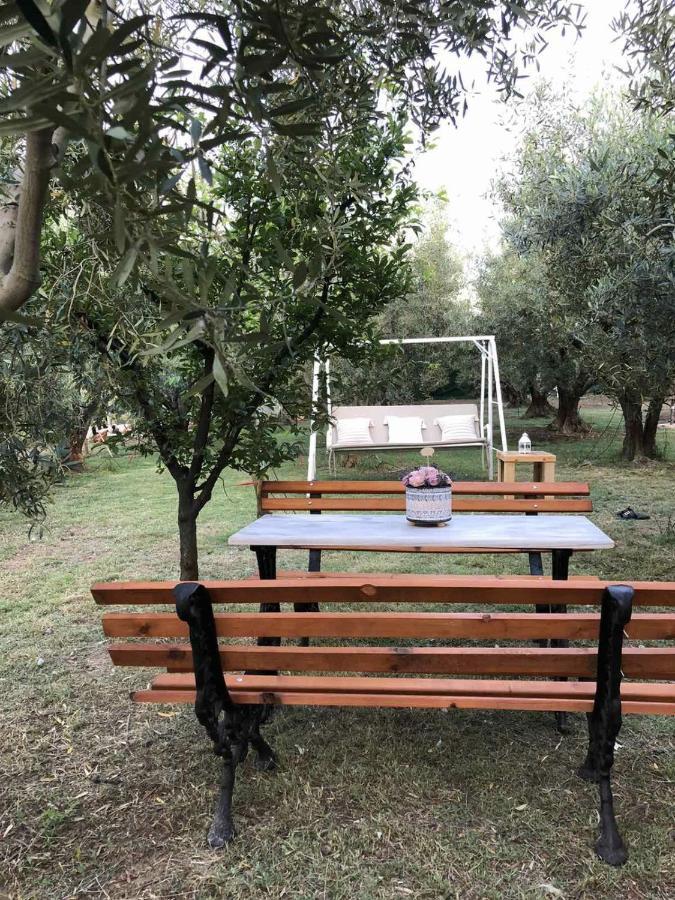 איוס מאמס Green Olive Studios 2 מראה חיצוני תמונה