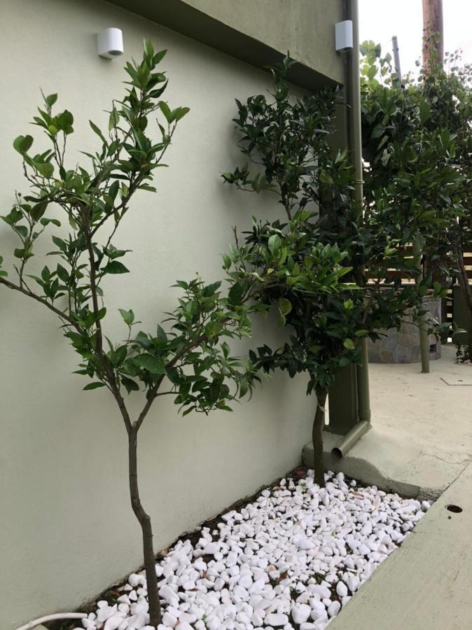 איוס מאמס Green Olive Studios 2 מראה חיצוני תמונה