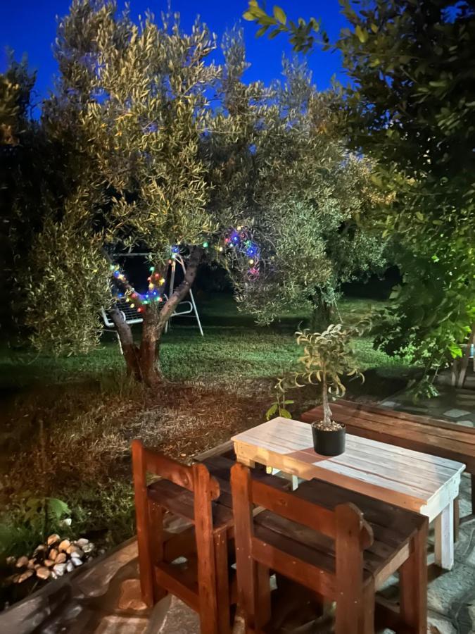 איוס מאמס Green Olive Studios 2 מראה חיצוני תמונה